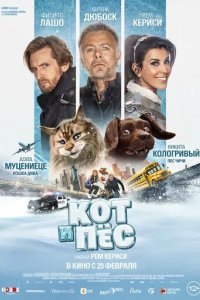 Кот и пёс