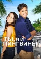 Любовь и пингвины