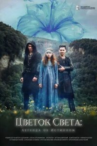 Цветок света
