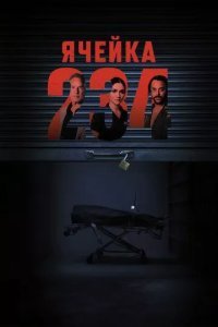 Ячейка 234