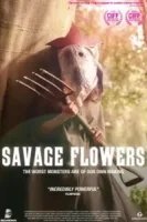 Дикие цветы