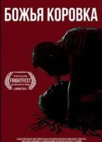 Божья коровка