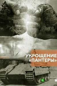 Укрощение «Пантеры»