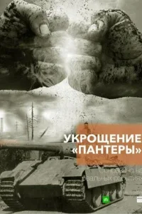Укрощение «Пантеры»