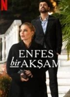 Восхитительный вечер