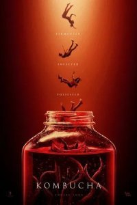 Чайный гриб