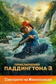 Приключения Паддингтона 3