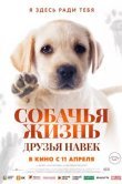 Собачья жизнь: Друзья навек