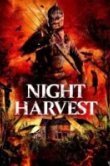 Ночной урожай