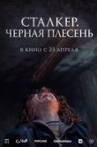 Сталкер. Черная плесень