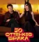 50 оттенков брака