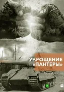 Укрощение «Пантеры»